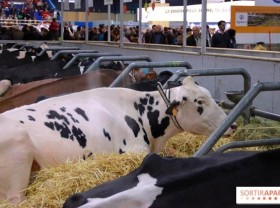 Image: Vietnam, France look to beef up agricultural cooperation