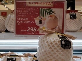 Image: Vietnamese firms get tips to boost export to Japan