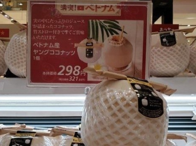 Image: Vietnamese firms get tips to boost exports to Japan