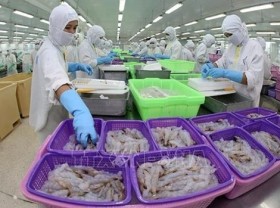 Image: WB: Vietnam's economy continues to show resilience