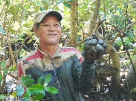 Image: Catching up in the mangroves to make millions