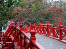 Image: Hà Nội enters charming leave-changing season