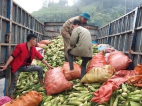 Image: A bridge connecting mountainous farmers to the world