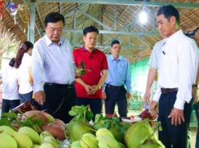 Image: Ambition for a ‘Green - Sustainable - ecological’ Mekong Delta