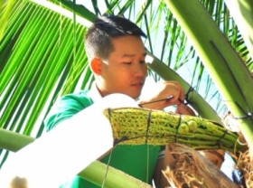 Image: Couple who ‘eat on the ground, work on the tree’