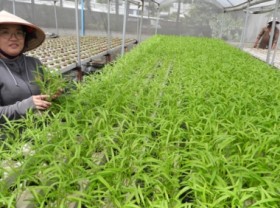 Image: Dong Nai province promotes the agricultural extension