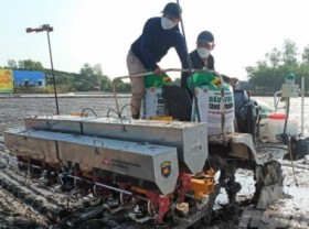 Image: Dream-like profit from smart rice production