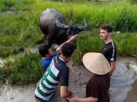Image: Enjoy experiences of using fishing basket, riding buffalo, pulling plows and local specialties