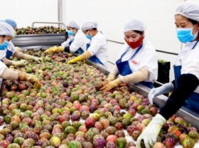 Image: Exports of agricultural products reach US$ 8 billion