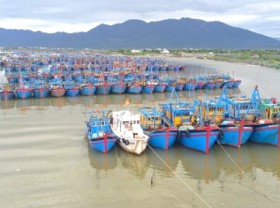 Image: fishing ports do not meet the EC's requirements on fishing