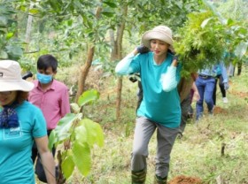 Image: Miss H’hen Nie open her heart to afforestation and forest protection