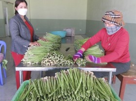 Image: Ninh Thuan to spend nearly 32 million USD on poverty reduction