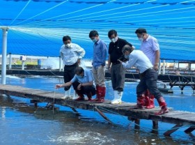 Image: Promoting application of Semi-Biofloc shrimp farming technology