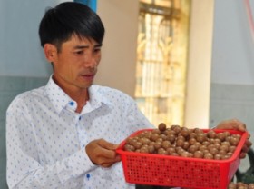 Image: Promoting macadamia as a multibillion-dollar export nut