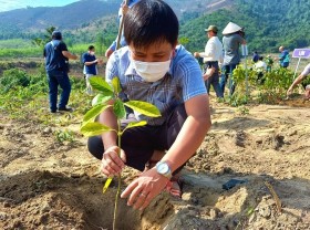 Image: Quang Binh launches afforestation project at headwaters of Gianh River