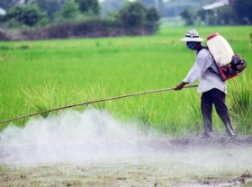 Image: Remove harmful substances, promote biopesticide usage