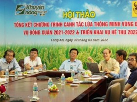 Image: ‘Smart rice farming’: Profit rises to VND 5.2 million per ha