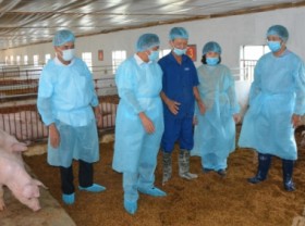 Image: The livestock industry focuses on growth factors