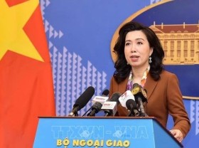 Image: Vietnam always protects and promotes fundamental rights of citizens: spokesperson