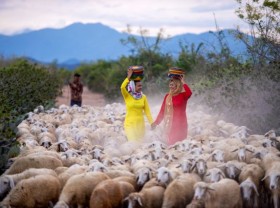 Image: Photo contest honours ‘Land of Chăm culture’