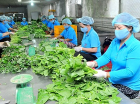 Image: Hanoi's collective economic sector adopts ambitious plans