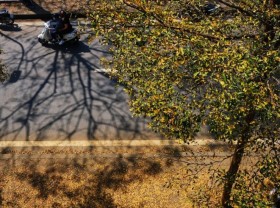 Image: Hanoi is the season of changing leaves