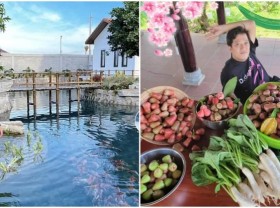 Image: Multi-billion dollar aquarium, sumptuous fruits harvested