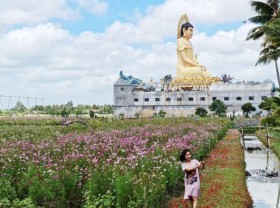 Image: Many tourist attractions attract tourists in Bac Lieu