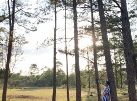 Image: ‘Standing for 5 seconds’ in front of a green, peaceful Phuong Boi pine hill