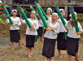 Image: The traditional costumes of Tho women