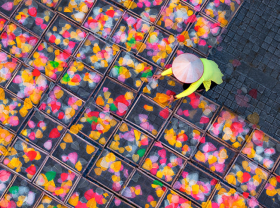 Image: Winners announced in Ho Chi Minh City spring photo competition