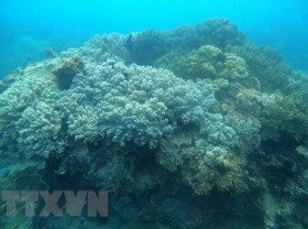 Image: Quy Nhon to become leading destination in Asia