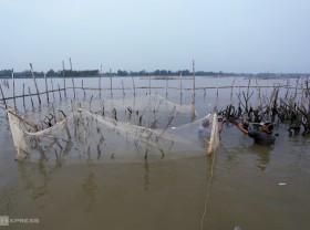 Image: Unloading poles to catch fish on Dam river
