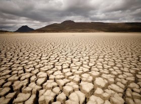 Image: Act now for the ecosystem!
