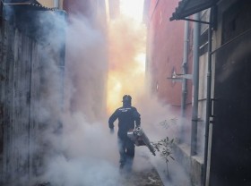 Image: COVID curbs linked to 750,000 fewer dengue fever cases in 2020 - study