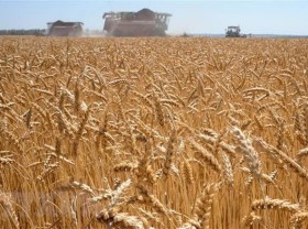 Image: Global food security remains a major challenge