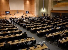 Image: UNHRC opens 49th session, Vietnam attends its high-level segment