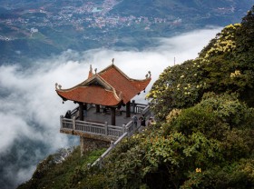 Image: Azalea flowers bloom on the top of Fansipan on the occasion of April 30 and May 1