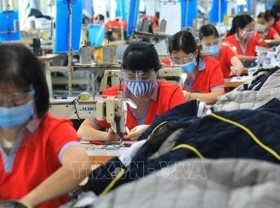 Image: Domestic labour market bouncing back: GSO