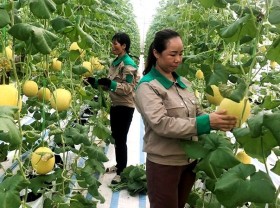 Image: Quang Ninh determines to boost digital transformation in agriculture