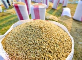 Image: Tariff quotas for rice, dried tobacco imported from Cambodia announced