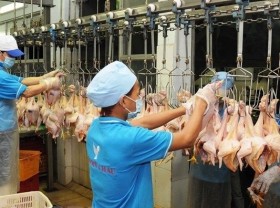 Image: Vietnam earns nearly 1 billion USD from exporting animals, animal products