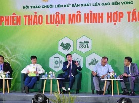 Image: Workshop discusses production linkage to build national rice brand