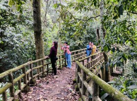 Image: Cuc Phuong National Park: A perfect holiday getaway to immerse yourself in ‘butterfly forest’
