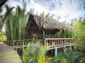 Image: Discover new virtual coordinates at Mekong Home Ben Tre
