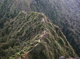 Image: Experience conquering Ta Xua palace
