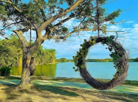 Image: Experience going to Suoi Mo tourist area in District 9 to have fun
