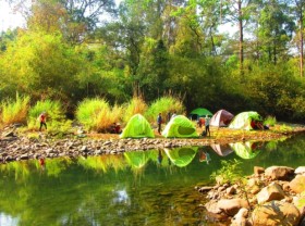 Image: Four nature tours near Ho Chi Minh City for 4/30