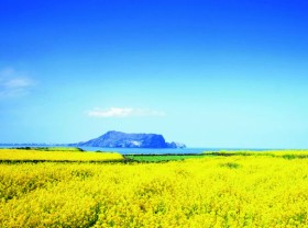 Image: Korea Tourism Organisation opens painting contest for Vietnamese travellers