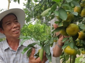 Image: Building modern and large-scale agricultural products supply centers in the Mekong Delta